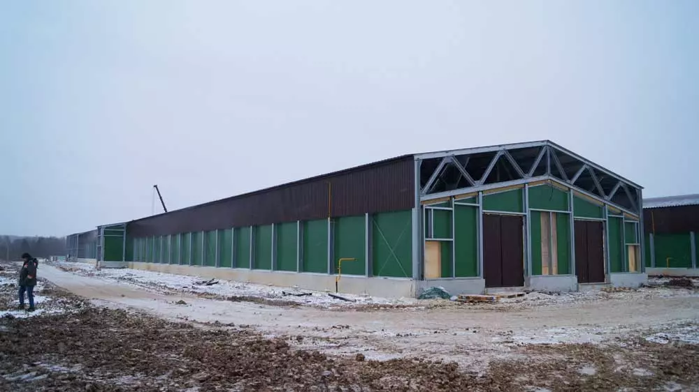 Птичник для кур строительство и устройство