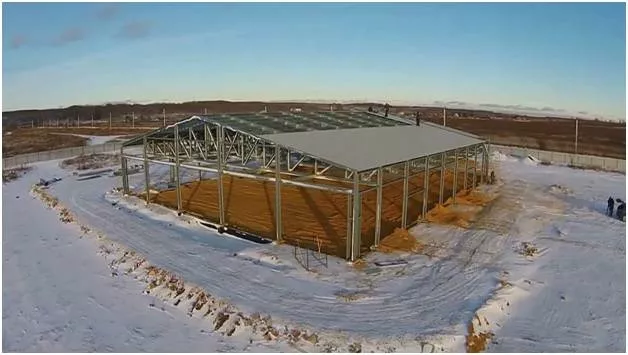 грибная ферма пд ключ