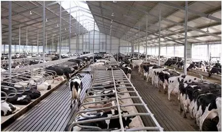 Быстровозводимые фермы