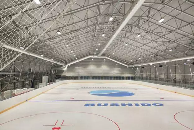 ледовая арена из лстк